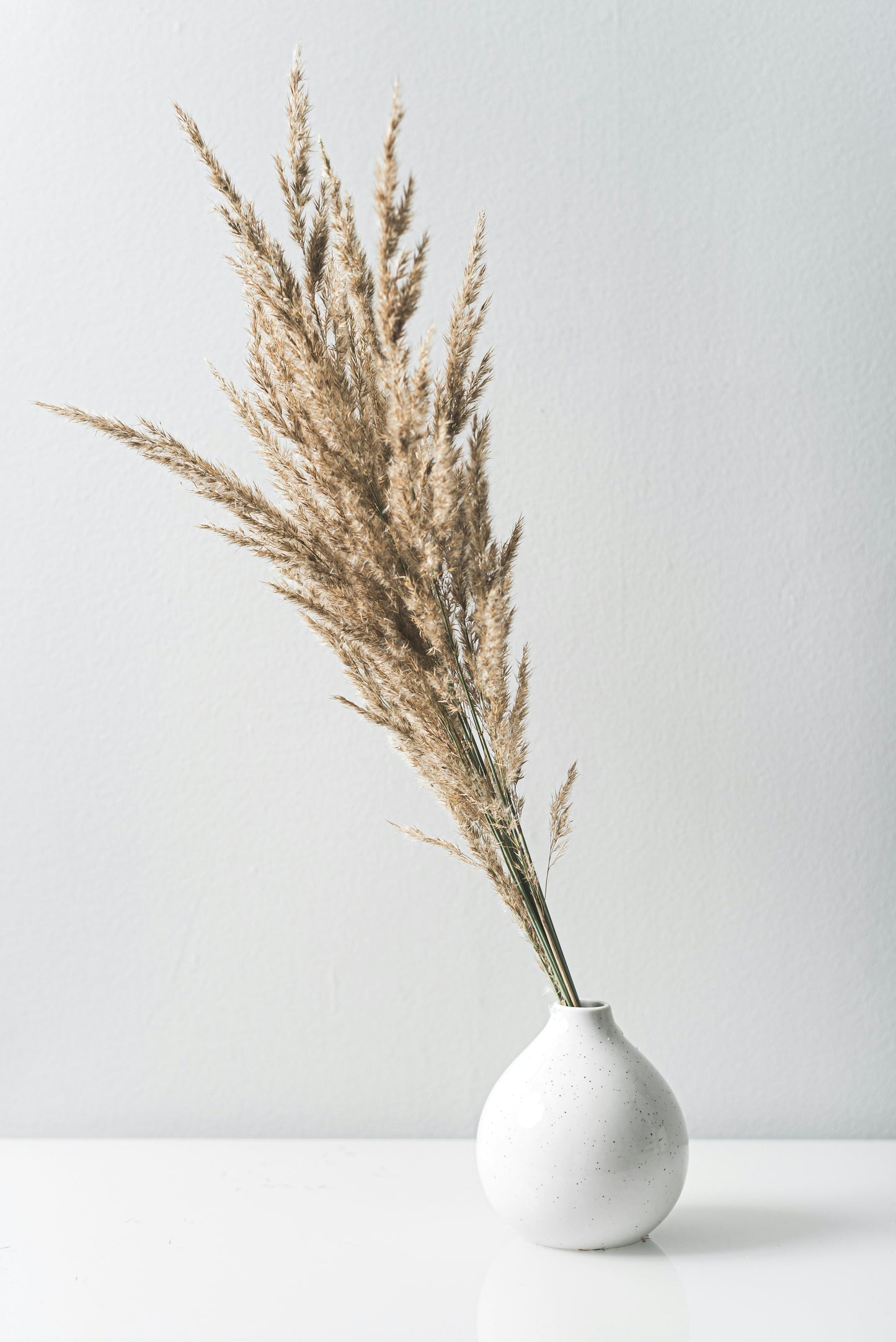 Dried Wheat Stalks for Decorating Table
